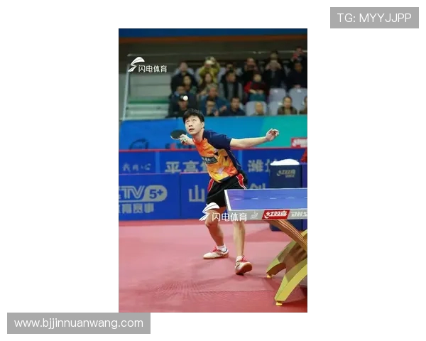 深圳乒乓球队比赛经验深度对比与启示分析